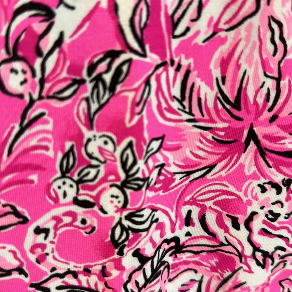 Lilly Pulitzer dress - Picture 4 of 7